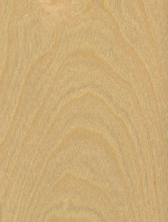 Würmseher Oberfläche Echtholz furniert Birke (kanadisch)