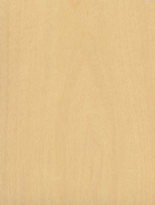 Würmseher Oberfläche Echtholz furniert Maple (amerikanischer Ahorn)